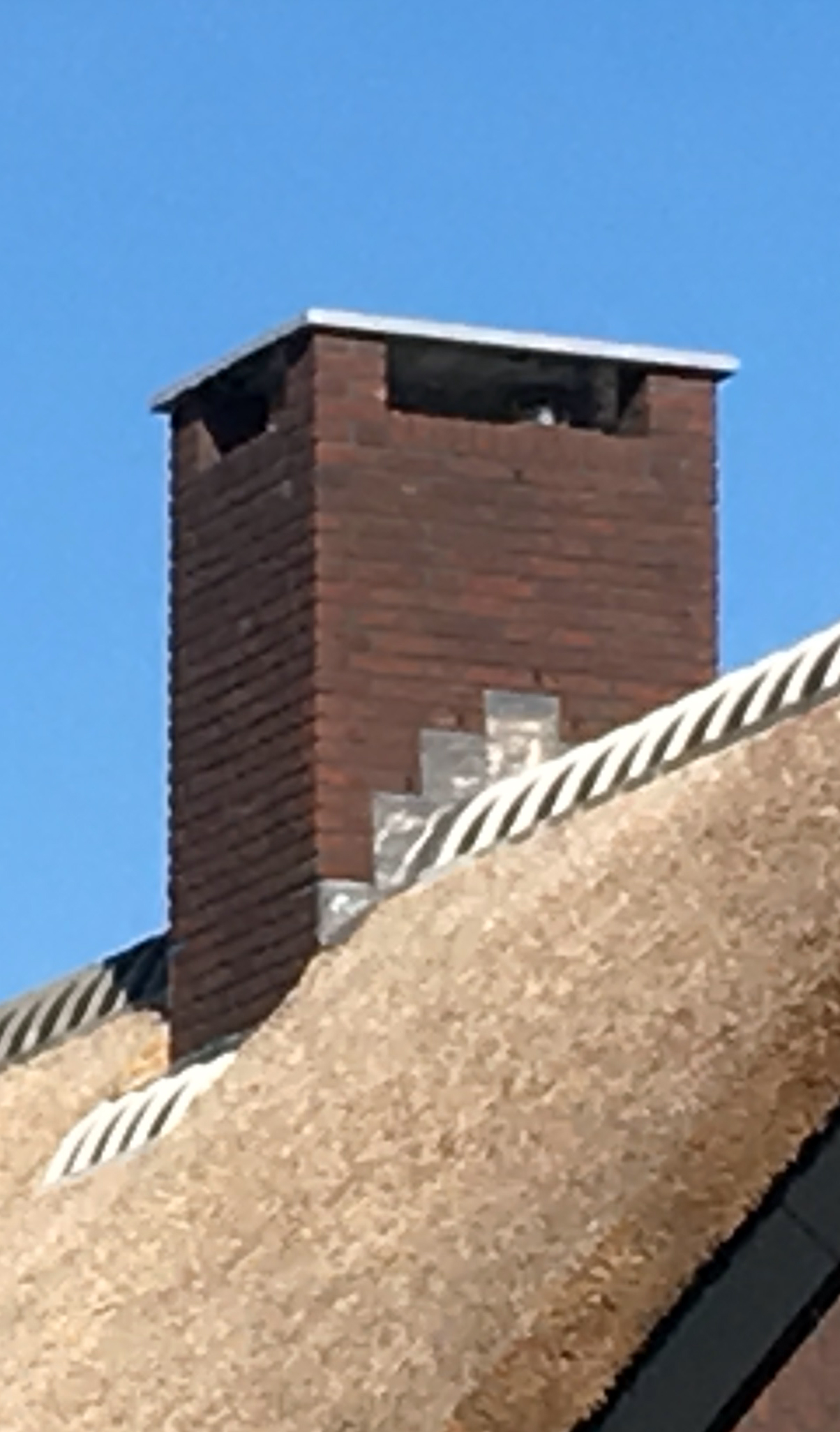 vraag 8